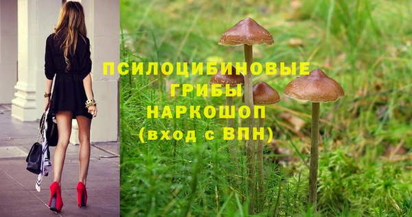 дмт Магас